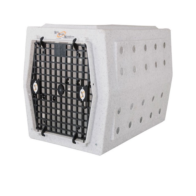 dog breed cane corso mastiff