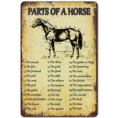 Retro Horse Anatomy Tin Sign Western Wall Art for Farm Kitchen & Cowboy Decor | eBay