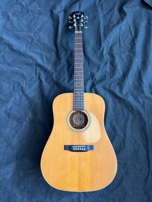 Vega V445 Vintage Dreadnought Acoustic, 75/76, komplett massiv, gebraucht