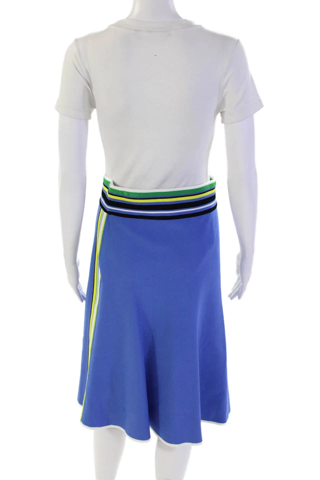 Falda Diane Von Furstenberg para mujer a rayas elástica línea A azul talla M Foto 3 de 4