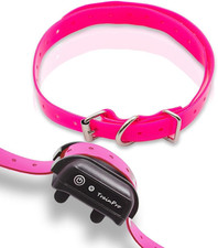 Waterproof TPU Replacement Strap for Dog Training Collar, 27.5 in  Universal Fi