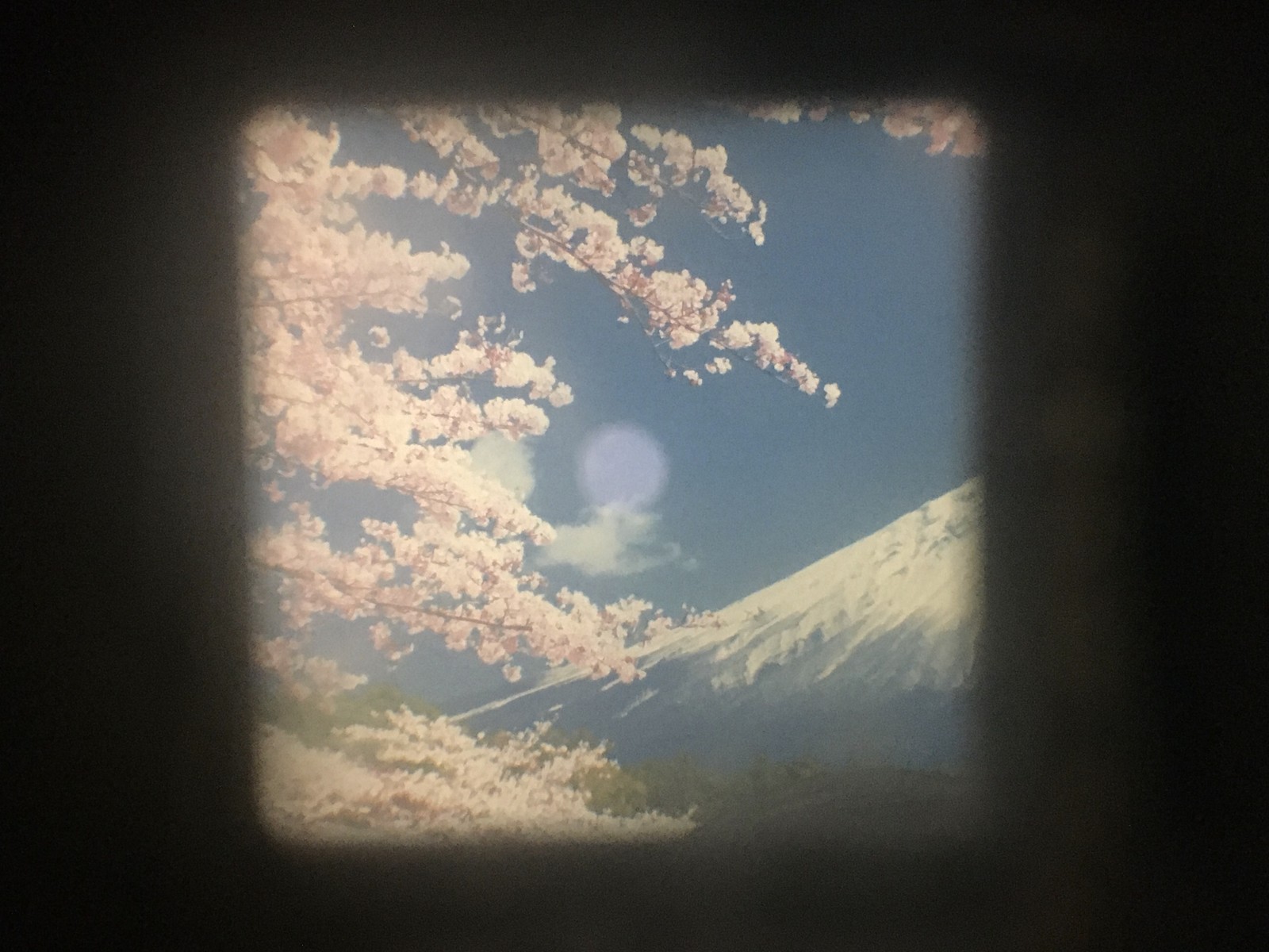 Foto 6 di 12