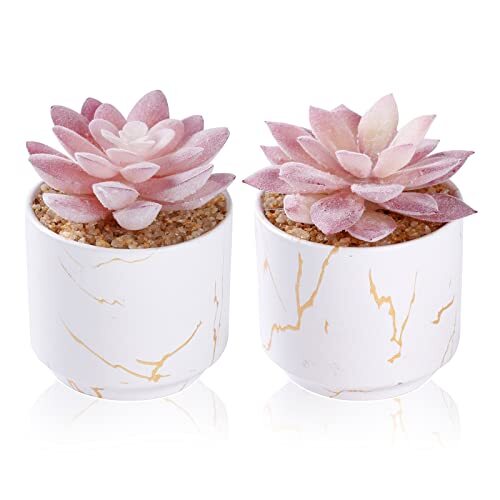 Artificial Potted Succulents in White Ceramic with 2 Small Fake Plants-image
