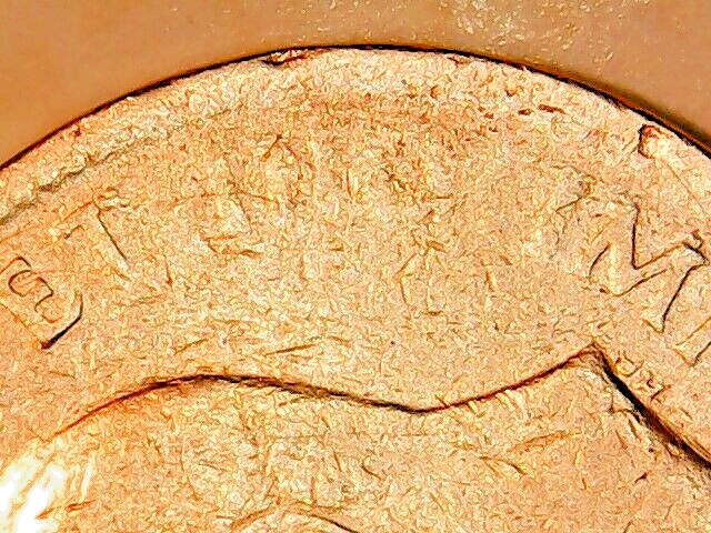 Picture 5 of 15