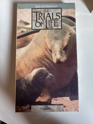 David Attenborough's 1991 ~ The Trials of Life ~ Time Life Video 10 VHS Tape Set - Picture 5 of 20