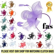 Ladies Net & Feather Looped Fascinator Wedding Races Prom On Clip And Headband
