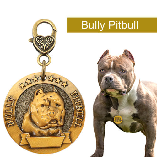 3D Brass Bully Pitbull Breed Dog Pet Name ID Tag Personalised Disc Engraved Free - Picture 1 of 8