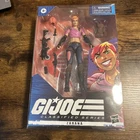 Hasbro G.I. Joe Classified Series Zarana Action Figure