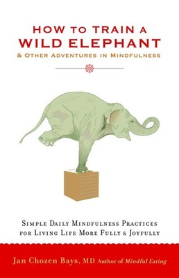 How to Train a Wild Elephant: And Other Adventures in Mindfulness - paperbac...