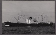 Norwegian America Line S S Wuppertal freighter photo 1940s