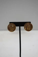 Earrings Gold Lucite Clip Earrings  