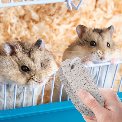 2Pcs Calcium Stone Chews Toy Small Animal Mineral Rabbit Toys Guinea Pig - 第 4/11 張圖片