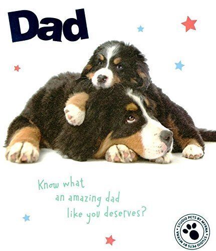 Amazing Dad Father's Day Studio Pets Greeting Card - Amazing Kid Like Me!