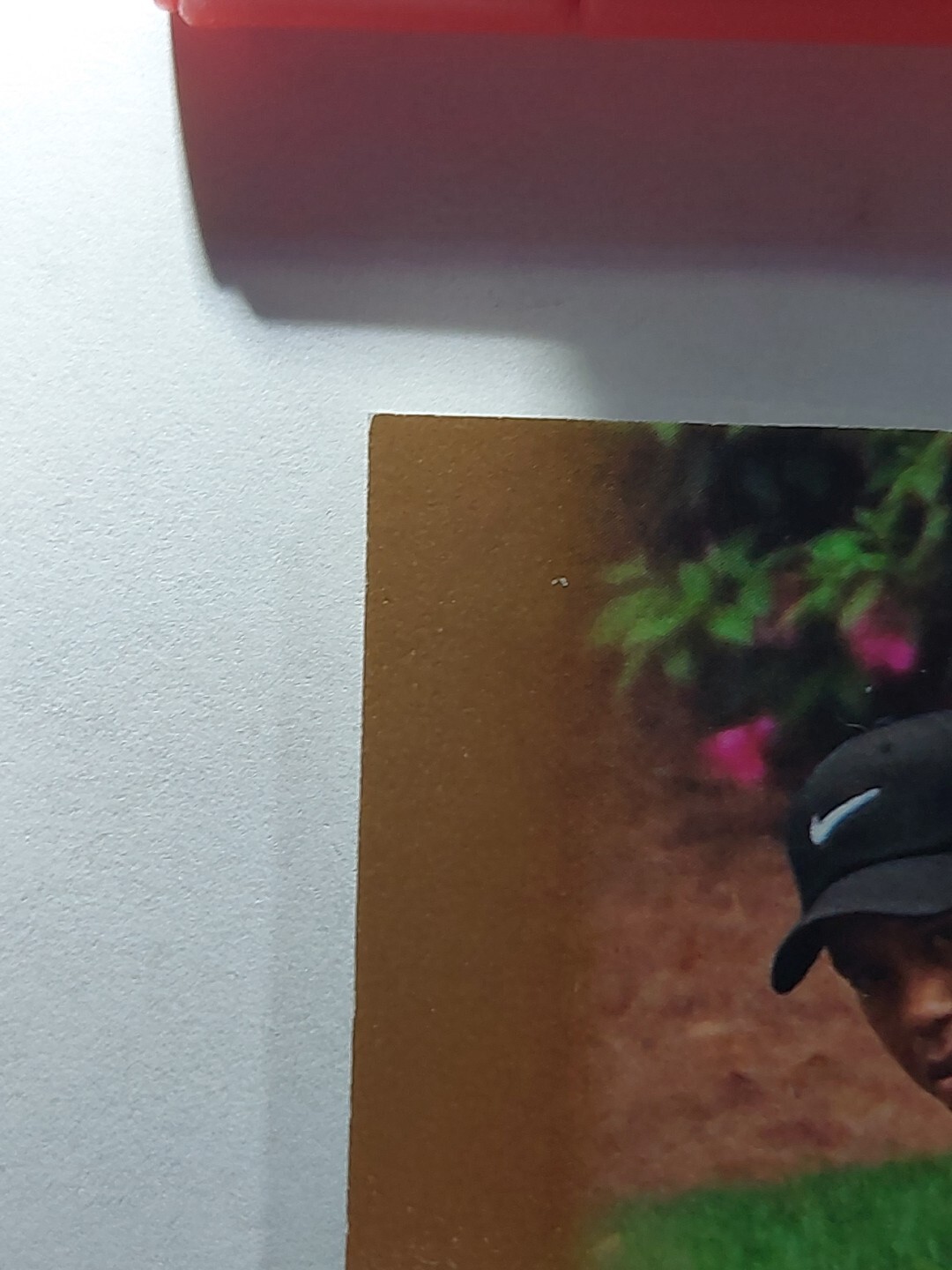 Picture 7 of 10