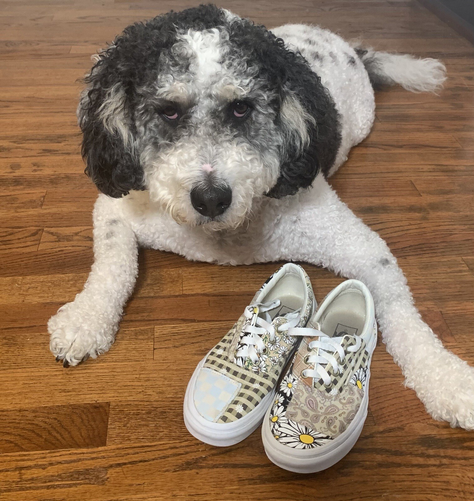 Vans era meadow patchwork Floral Checkerboard Skate Shoe Women’s 6.5 eBay