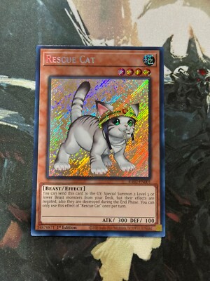 Yugioh Rescue Cat (Alternate Art) Secret Rare RA02 | eBay