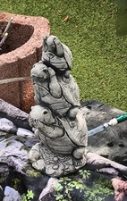 Garneck Schildkröten-Figuren Aus Muschel – 8 Stück Deko Für Zuhause