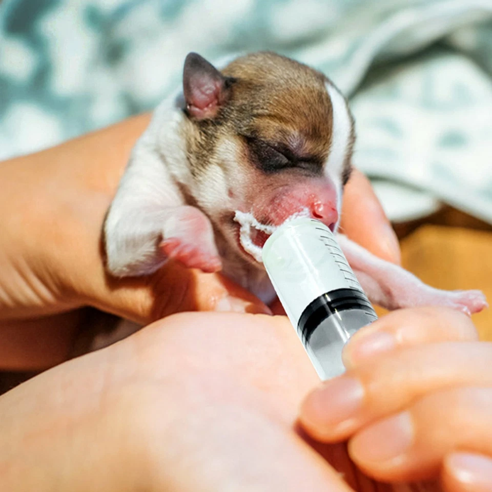 10/100xSyringes 1ml 5ml 10ml 20ml Plastic Disposable Syringe Tube Funnel - image 2 of 4