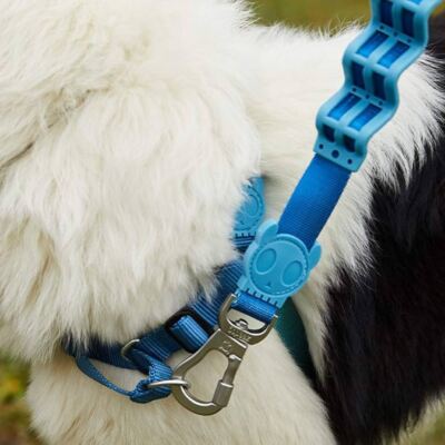 ZEE.DOG Blue Artico Dog Ruff Leash w Screw Lock | Shock Absorbent | Heavy Duty