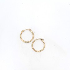 14k Yellow Gold Small Hollow Hoop Earrings C31015662 