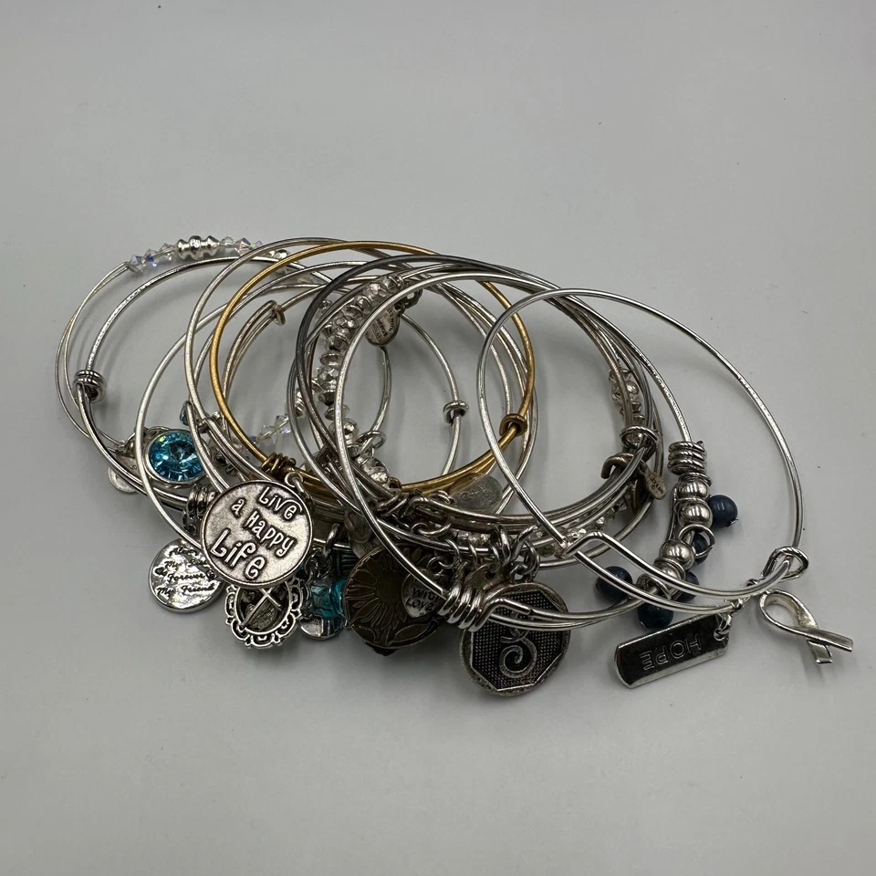 Lote Brazalete Pulsera Alex and Ani Tono Varios Dijes Temas Mixtos Joyería Foto 2 de 4