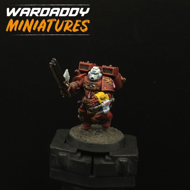 Pro Painted Warhammer 40k Blood Angels Space Marines Miniature Games Workshop