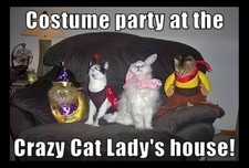 Costume party at the Crazy Cat lady's house funny silly humor pet lover MAGNET