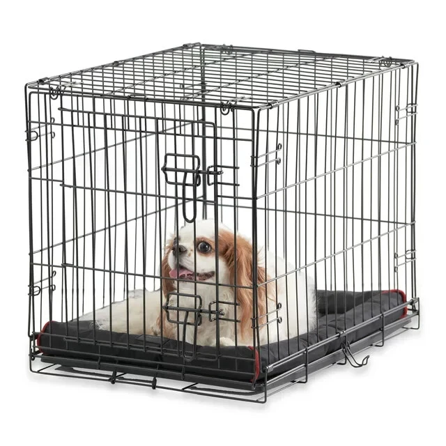 Vibrant clearance dog crate