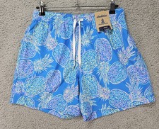 Chubbies The Bay Breezes Pineapple Swim Trunks Men  s Medium 5.5" Lined NWT
