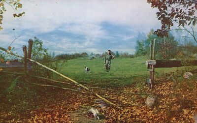 Postcard The Hunter Home From The Hill Forest Hunting Animals