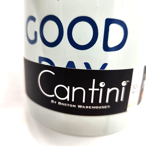 CANTINI Double Wall Vacuum Insulated Hot Or Cold BPA Free Travel Mug 30 OZ NEW - Picture 8 of 11