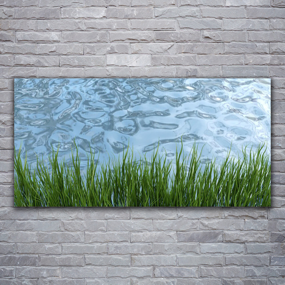 Tableau en verre acrylique Eau Herbe 120x60 cm pour un salon apaisant