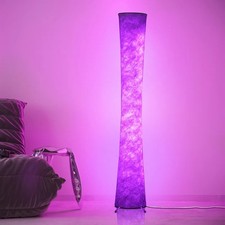 61 Inch LED Floor Lamp Dimmable RGB Color Changing Remote App Controlled Novelty
