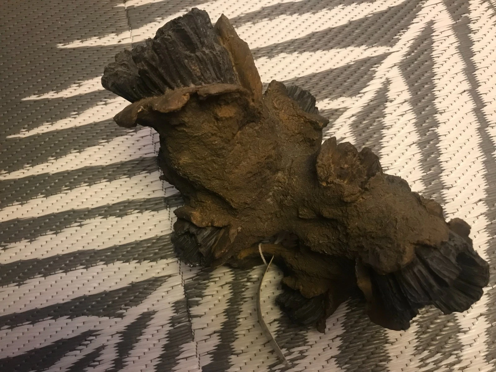 PPI HOLLOW TREE ROOTS 28cm Aquarium Fish Tank Reptile Ornament Decorations 64272
Opens in a new wind