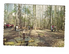 God's Acre healing springs near Blackville SC VTG postcard UNP