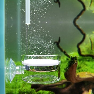 Pollen Glas CO2 Diffusor mit U Pipe für Aquarium Gepflanzt Tank (?50mm)