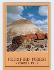 Postcard Petrified Log Petrified Forest National Park Arizona USA