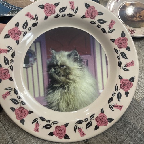 Harry Potter Collectable Plate Set Professor Umbridge Cat Plates LootCrate (4) - Picture 3 of 12