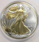 1 Oz Silver Eagle 2022 - Gold Gilded Silver Eagle (IN CAPSULE w/BOX)