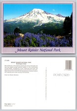 Continental Mount Rainier National Park Postcard