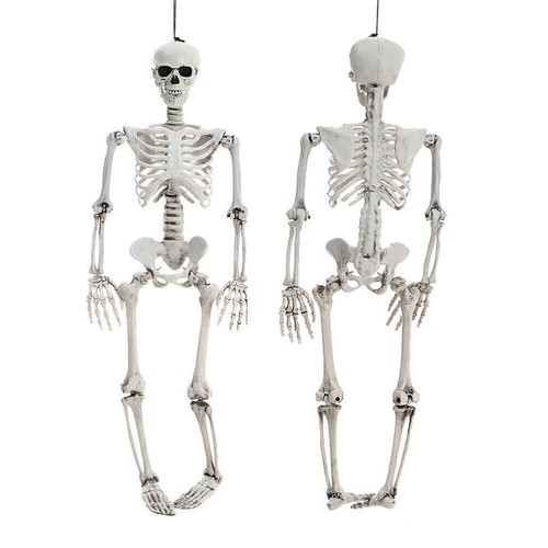 Full Life Size Human Hanging/Sitting Skeleton Prop Halloween Party Decoration - Picture 6 of 11