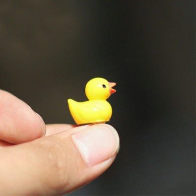 micro rubber ducks