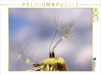 Calvendo Puzzle Small Parachutes | 1000 Pieces, Finished Size 25.2 × 18.9 In (64
