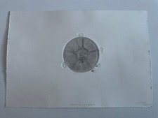 Ilkwon Yoon Playground Roundabout-Etching 2018