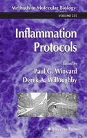 Paul G. Winyard (U. A.) | Inflammation Protocols | Buch | Englisch (2003) | Xii