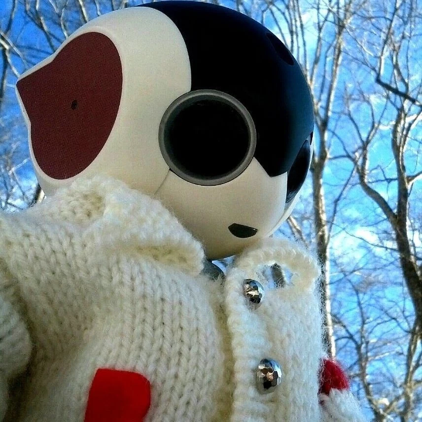 De Agostini | Robi Robot ロビ - Humanoid Roboter - Japan Edition - Bild 2 von 4