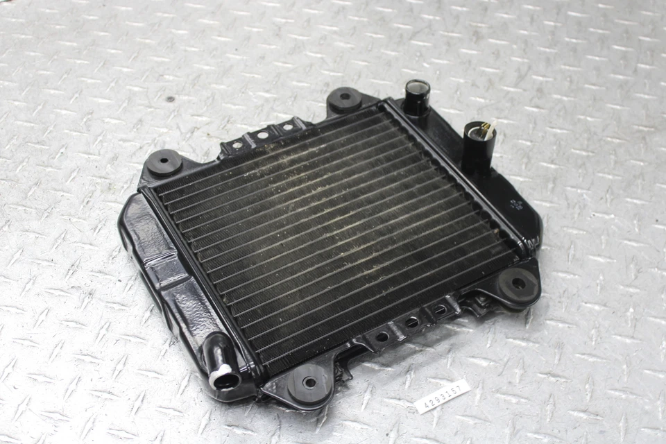 Kawasaki Ninja 250R 2005 radiador motor enfriador radiador de refrigeración Foto 3 de 4