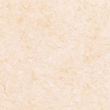 Orange Cream Fiber, scrapbook paper, It Takes Two LS72