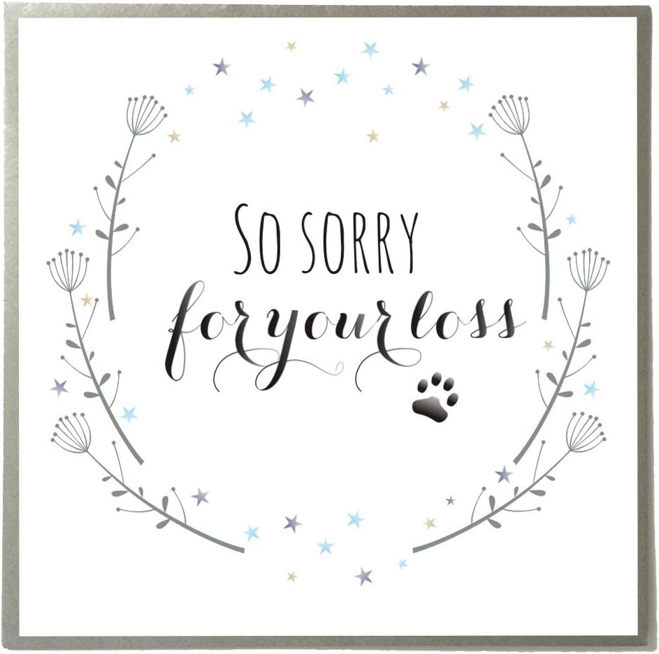 Клэр Джайлс Квилл Приносим извинения за потерю поздравительной открытки с выражением сочувствия вашему питомцу