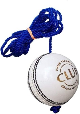 Cricket Leather Hanging Ball for Practice white premium Quality